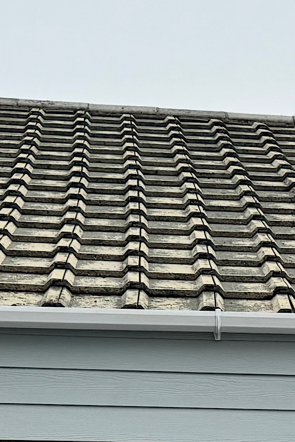 Roof Cleaning in Sussex